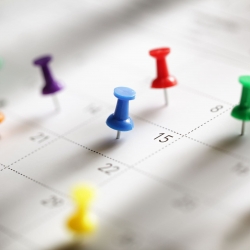 Calendrier Epingles